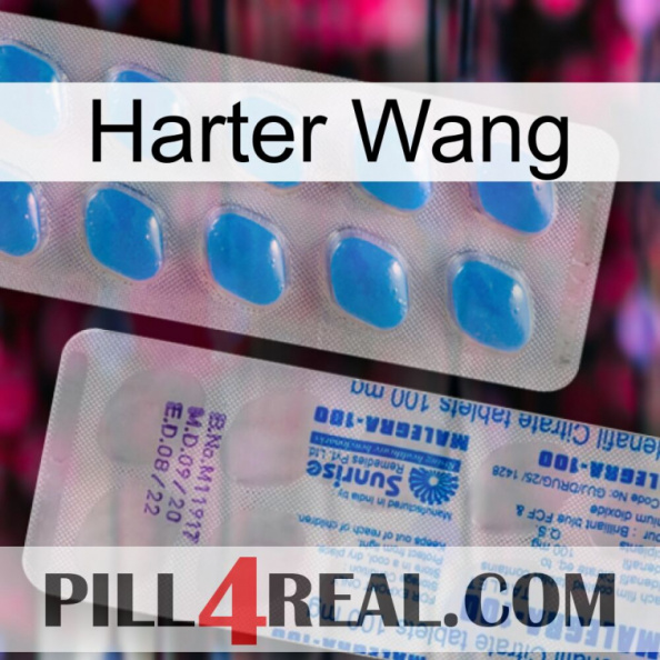 Hard Wang new15